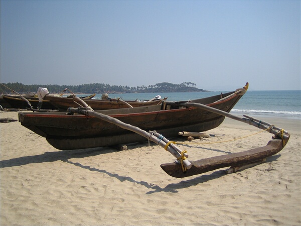 The dolphin 'cruise' boat