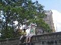 A postcard seller wishes Tracy a happy birthday on Chamundi Hill, Mysore