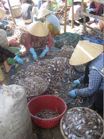 Fishing village, Mui Ne, Vietnam