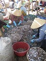 Fishing village, Mui Ne, Vietnam