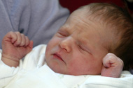 Elouise