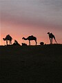 Overnight in the desert near Jaisalmer